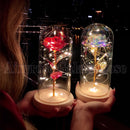 Weihnachtsgeschenk Schönheit und das Biest Konservierte Rosen im Glas Galaxy Rose Blume LED-Licht Kunstblume Geschenk für Frauen Mädchen