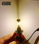 BAGELED CSP Autoscheinwerfer H4 H7 LED 3000K 4300K ​​6500K 8000K H1 H3 H8 H9 H11 9005 9006 HB3 HB4 880 881 LED Birne Auto Nebelscheinwerfer