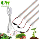 LED Grow Light 220V 110V Vollspektrum-LED-Lampe für Pflanzen Hohe Lichtausbeute Phytolamp für Sämlinge Gewächshaus-Wachstumszelt