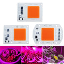LED Grow COB Light Chip Full Spectrum AC 220V 10W 20W 30W 50W Kein Treiber erforderlich Für Wachstum Blumensämling Pflanzenbeleuchtung