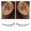 REETI neuer Qualitäts-superglänzender Zirkon 925 Sterlingsilber-Ohrring für Frauen-Schmucksache-Großverkauf-Geschenk-Ohr-Reihe