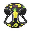 Arnés reflectante de nailon para perros y gatos, chaleco con estampado de Bulldog francés, arnés para perros pequeños y medianos, arnés para gatos para caminar Chihuahua