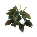 Neue künstliche Sträucher kreative dekorative künstliche Pflanzenfarne Simulationspflanze Kunststoff Blumenfarn Wandmaterial Zubehör