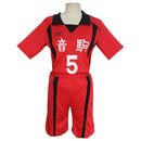 9 Styles Haikyuu Cosplay Kostüm Karasuno High School Volleyball Club Hinata Shyouyou Sportswear Trikots Uniform