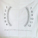 Neugeborenes Baby Meilenstein Decken Fotografie Decke Blumendruck Weiche Decke DIY Säuglingsfotografie Requisiten