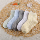 5 Paare / Los Kinder Baumwollsocken Junge Mädchen Baby Kleinkind Ultradünne Mode Atmungsaktive Feste Netzsocken Für Sommer 1-12T Teenager Kinder