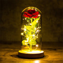 Valentinstagsgeschenk für Freundin Ewige Rose LED-Lichtfolie Blume in Glasabdeckung Muttertag Hochzeitsbevorzugung Brautjungferngeschenk