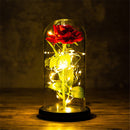 Valentinstagsgeschenk für Freundin Ewige Rose LED-Lichtfolie Blume in Glasabdeckung Muttertag Hochzeitsbevorzugung Brautjungferngeschenk