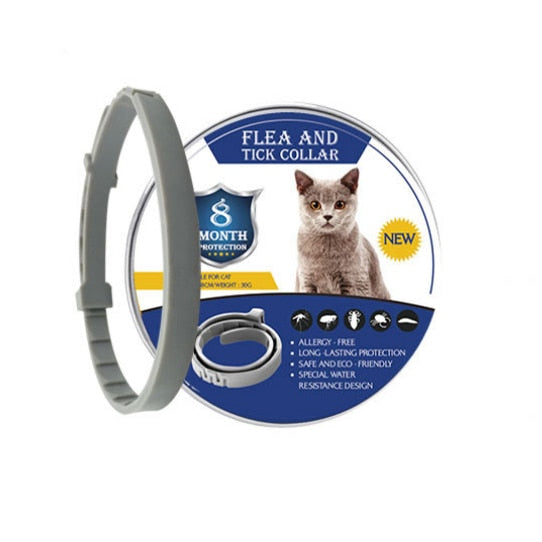 8 Monate Flohzeckenhalsband für Hunde, Katzen, Haustier, verstellbares Hundehalsband für kleine Hunde, Haustiere, Zubehör, niedliche Produkte