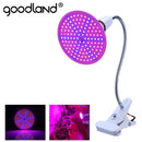 Goodland Phytolamp Full Spectrum LED Grow Light E27 Phytolampe für Pflanzen Pflanzenlampe für Setzlinge Blumen Fitolamp Growzelt