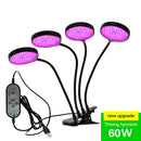 5V LED Grow Light USB Phyto Lampe Full Spectrum Fitolampy mit Steuerung für Pflanzen Sämlinge Blumen Indoor Fitolamp Grow Box