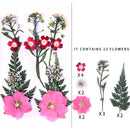 Small Real Dried Flower Natural Dry Plants For Candle Epoxy Resin Pendant Necklace Jewelry Making Craft DIY Accessori