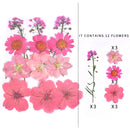 Small Real Dried Flower Natural Dry Plants For Candle Epoxy Resin Pendant Necklace Jewelry Making Craft DIY Accessori