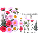 Small Real Dried Flower Natural Dry Plants For Candle Epoxy Resin Pendant Necklace Jewelry Making Craft DIY Accessori