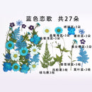 Small Real Dried Flower Natural Dry Plants For Candle Epoxy Resin Pendant Necklace Jewelry Making Craft DIY Accessori