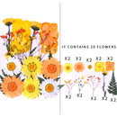 Small Real Dried Flower Natural Dry Plants For Candle Epoxy Resin Pendant Necklace Jewelry Making Craft DIY Accessori