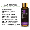 10 ml Lavendel, Eukalyptus, reine ätherische Öle, Rose, Zitrone, Jasmin, Vanille, Minze, Sandelholz, Bergamotte, Teebaum, Diffusor-Aromaöl