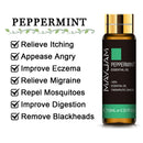 10 ml Lavendel, Eukalyptus, reine ätherische Öle, Rose, Zitrone, Jasmin, Vanille, Minze, Sandelholz, Bergamotte, Teebaum, Diffusor-Aromaöl