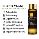 10 ml Lavendel, Eukalyptus, reine ätherische Öle, Rose, Zitrone, Jasmin, Vanille, Minze, Sandelholz, Bergamotte, Teebaum, Diffusor-Aromaöl