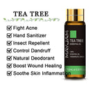 10 ml Lavendel, Eukalyptus, reine ätherische Öle, Rose, Zitrone, Jasmin, Vanille, Minze, Sandelholz, Bergamotte, Teebaum, Diffusor-Aromaöl