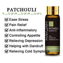 10 ml Lavendel, Eukalyptus, reine ätherische Öle, Rose, Zitrone, Jasmin, Vanille, Minze, Sandelholz, Bergamotte, Teebaum, Diffusor-Aromaöl