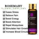 10 ml Lavendel, Eukalyptus, reine ätherische Öle, Rose, Zitrone, Jasmin, Vanille, Minze, Sandelholz, Bergamotte, Teebaum, Diffusor-Aromaöl