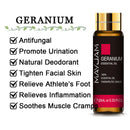 10 ml Lavendel, Eukalyptus, reine ätherische Öle, Rose, Zitrone, Jasmin, Vanille, Minze, Sandelholz, Bergamotte, Teebaum, Diffusor-Aromaöl