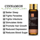 10 ml Lavendel, Eukalyptus, reine ätherische Öle, Rose, Zitrone, Jasmin, Vanille, Minze, Sandelholz, Bergamotte, Teebaum, Diffusor-Aromaöl