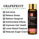 10 ml Lavendel, Eukalyptus, reine ätherische Öle, Rose, Zitrone, Jasmin, Vanille, Minze, Sandelholz, Bergamotte, Teebaum, Diffusor-Aromaöl