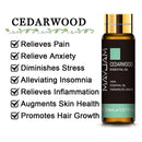 10 ml Lavendel, Eukalyptus, reine ätherische Öle, Rose, Zitrone, Jasmin, Vanille, Minze, Sandelholz, Bergamotte, Teebaum, Diffusor-Aromaöl