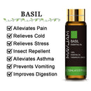 10 ml Lavendel, Eukalyptus, reine ätherische Öle, Rose, Zitrone, Jasmin, Vanille, Minze, Sandelholz, Bergamotte, Teebaum, Diffusor-Aromaöl