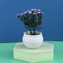 Künstliche Mini-Aloe-Pflanzen, Bonsai, kleine simulierte Baum-Topfpflanzen, künstliche Blumen, Bürotisch, Topf-Ornamente, Hausgarten-Dekoration