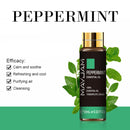 10 ml ätherisches Lavendelöl Diffusor Reine ätherische Öle Rose Eukalyptus Jasmin Vanille Minze Sandelholz Teebaum Aromaöl