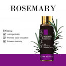 10 ml ätherisches Lavendelöl Diffusor Reine ätherische Öle Rose Eukalyptus Jasmin Vanille Minze Sandelholz Teebaum Aromaöl