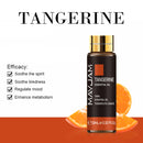 10 ml ätherisches Lavendelöl Diffusor Reine ätherische Öle Rose Eukalyptus Jasmin Vanille Minze Sandelholz Teebaum Aromaöl