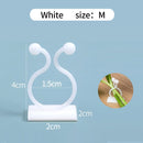 Kletterwand für Pflanzen, selbstklebend, feste Schnalle, Hakenverschluss, gebundene Befestigung, Weinschnalle, Haken, Gartenpflanze, Wand, Kletterrebe, Clips