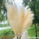 1 Stücke Künstliches Pampasgras Home Room Decor Simulation Reed Blumenstrauß DIY Hochzeit Dekoration Geburtstag Party Supplies