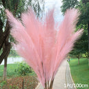 1 Stücke Künstliches Pampasgras Home Room Decor Simulation Reed Blumenstrauß DIY Hochzeit Dekoration Geburtstag Party Supplies