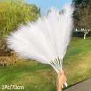 1 Stücke Künstliches Pampasgras Home Room Decor Simulation Reed Blumenstrauß DIY Hochzeit Dekoration Geburtstag Party Supplies