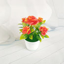 Künstliche Mini-Aloe-Pflanzen, Bonsai, kleine simulierte Baum-Topfpflanzen, künstliche Blumen, Bürotisch, Topf-Ornamente, Hausgarten-Dekoration