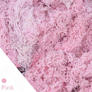 20/40 g Künstliche Grünpflanzen Ewiges Leben Moos Gras Zuhause Wohnzimmer Garten Dekoration Mini Landschaft Gefälschte Blume DIY Handwerk