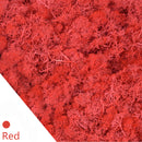 20/40 g Künstliche Grünpflanzen Ewiges Leben Moos Gras Zuhause Wohnzimmer Garten Dekoration Mini Landschaft Gefälschte Blume DIY Handwerk