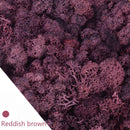 20/40 g Künstliche Grünpflanzen Ewiges Leben Moos Gras Zuhause Wohnzimmer Garten Dekoration Mini Landschaft Gefälschte Blume DIY Handwerk