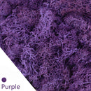 20/40 g Künstliche Grünpflanzen Ewiges Leben Moos Gras Zuhause Wohnzimmer Garten Dekoration Mini Landschaft Gefälschte Blume DIY Handwerk